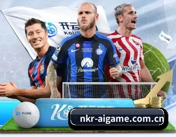 nkr-aigame.com.cn的故事 - 体育资讯内容服务 - www.ayx.com